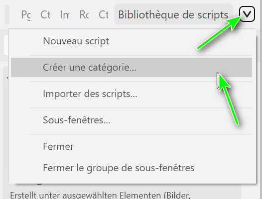 Menu du panneau Bibliothèque de scripts